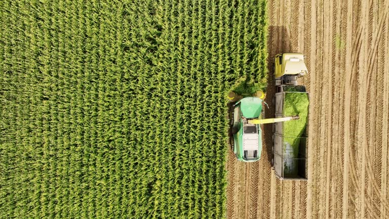 AGRICULTURE VIDEO PRODUCTION